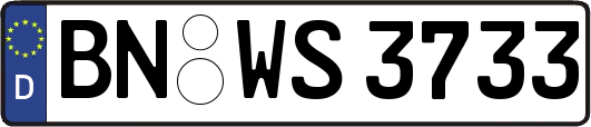 BN-WS3733