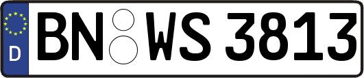 BN-WS3813