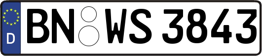 BN-WS3843