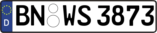 BN-WS3873