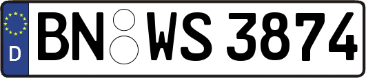 BN-WS3874