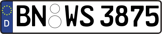 BN-WS3875