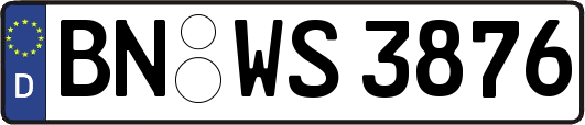BN-WS3876