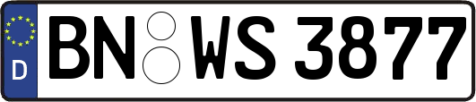 BN-WS3877