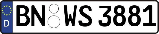 BN-WS3881