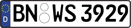 BN-WS3929