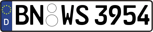 BN-WS3954