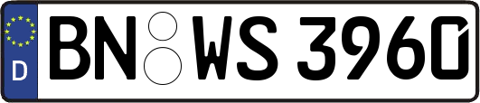 BN-WS3960