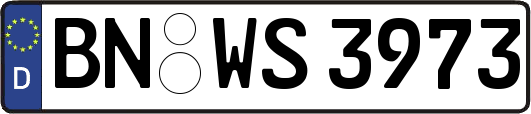 BN-WS3973