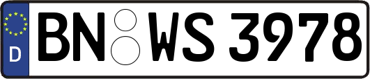 BN-WS3978