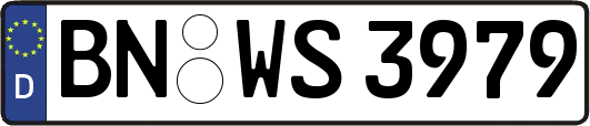 BN-WS3979