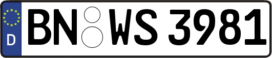 BN-WS3981