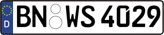 BN-WS4029