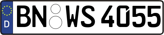 BN-WS4055