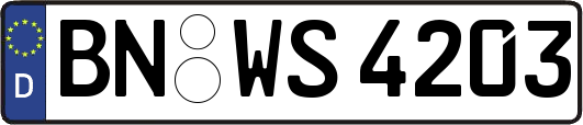 BN-WS4203