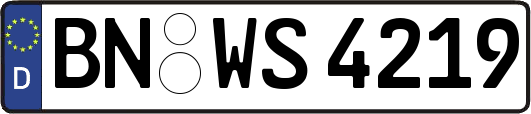 BN-WS4219