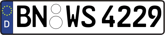 BN-WS4229