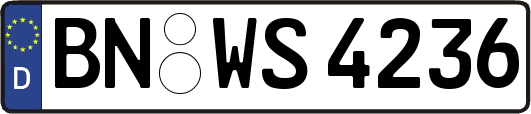 BN-WS4236