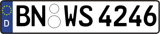 BN-WS4246