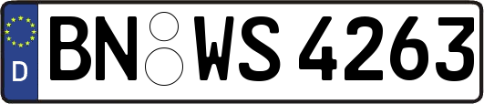 BN-WS4263