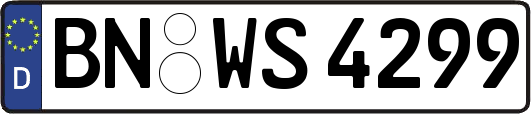 BN-WS4299