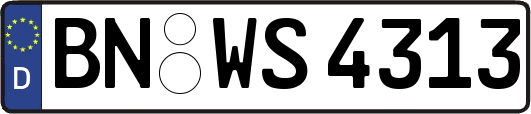 BN-WS4313