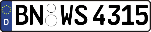 BN-WS4315