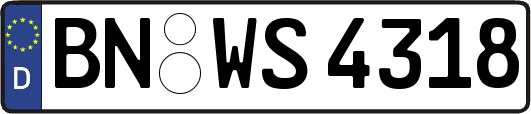 BN-WS4318