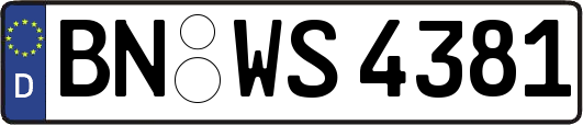 BN-WS4381