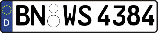 BN-WS4384