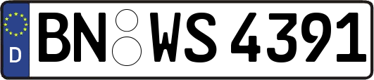 BN-WS4391