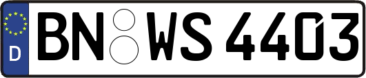 BN-WS4403