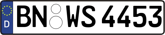 BN-WS4453