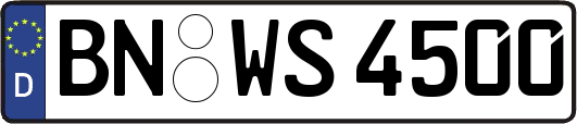 BN-WS4500