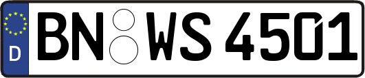 BN-WS4501