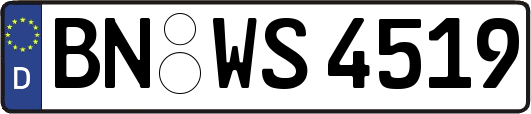 BN-WS4519