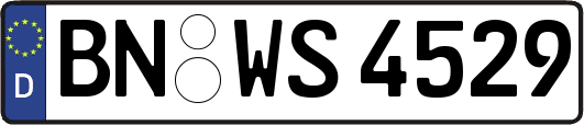 BN-WS4529