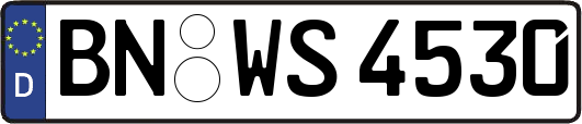 BN-WS4530