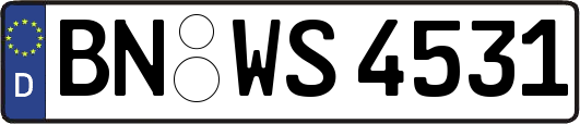 BN-WS4531
