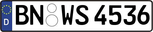 BN-WS4536