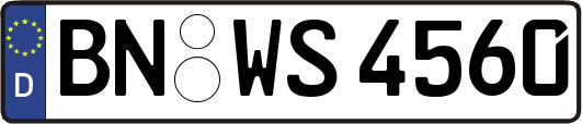 BN-WS4560