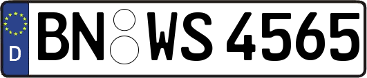 BN-WS4565