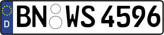 BN-WS4596