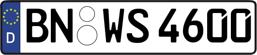 BN-WS4600