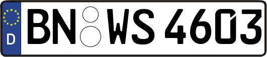 BN-WS4603