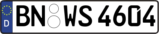 BN-WS4604