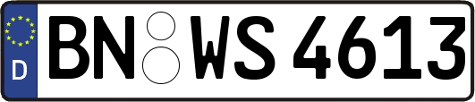 BN-WS4613