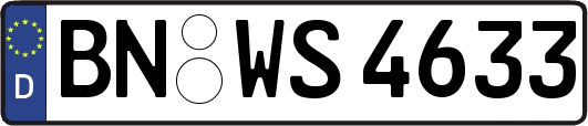 BN-WS4633