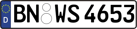 BN-WS4653