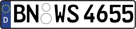 BN-WS4655